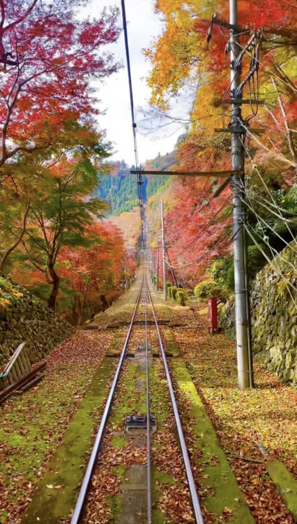 アップロード画像